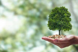 Brand Reforestation Partnerships Article Thubnail