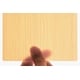 Translucent Laminate Panels Image 2
