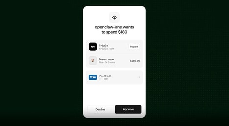 Automated AI Payment Wallets