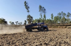 Low-Tech Carbon Removal Solutions