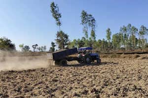 Low-Tech Carbon Removal Solutions Article Thubnail