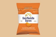 Barbecue Cooking Snack Chips