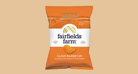 Barbecue Cooking Snack Chips