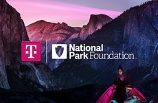 Camping-Inspired Digital Detox Campaigns
