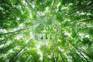 Air Capture Credit Deals Article Thubnail