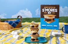 Free-From S'mores Kits