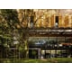 Forest-Led House Designs Image 2