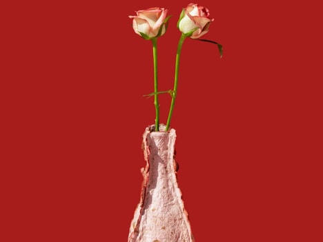 Flower Waste Vases