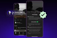 Artist Verification Badges