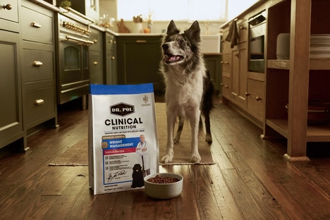 Clinical Nutrition Dog Food