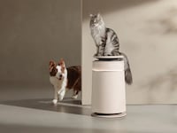 Pet Hair Purifiers Image 1