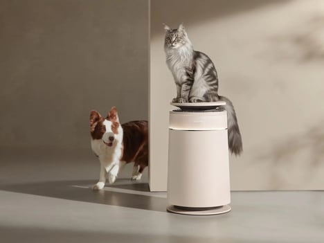Pet Hair Purifiers