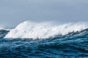 Ocean Wave AI Platforms Article Thubnail