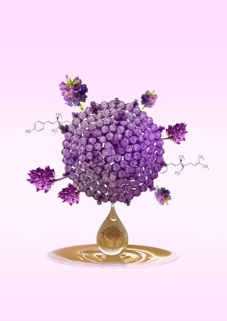Exosome Skincare Systems