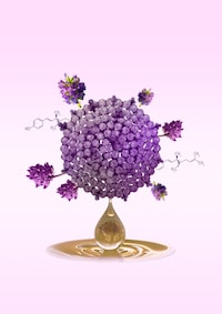 Exosome Skincare Systems