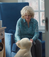 Social Interaction AI Companions Image 2