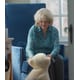 Social Interaction AI Companions Image 2