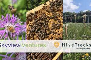 Solar Biodiversity Systems Article Thubnail