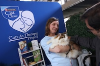 Mobile Cat Therapy Initiatives Image 2