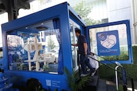 Mobile Cat Therapy Initiatives Image 3