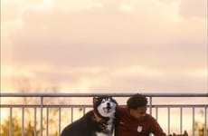 Pet-Focused Soccer Programming Initiatives