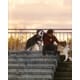Pet-Focused Soccer Programming Initiatives Image 1