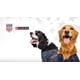 Pet-Focused Soccer Programming Initiatives Image 2