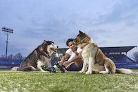 Pet-Focused Soccer Programming Initiatives Image 3