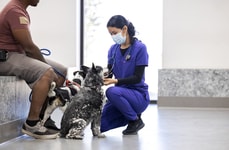 Veterinary Care Access Initiatives