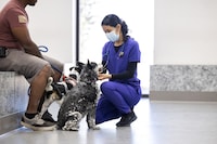 Veterinary Care Access Initiatives Image 1