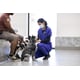 Veterinary Care Access Initiatives Image 1