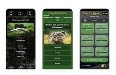 AI Quizzing Platforms