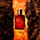 Intensely Expressive Fragrances Image 2