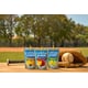 Kid-Friendly Electrolytes Drinks Image 1