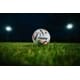 FIFA Collectibles Licensing Deals Image 1