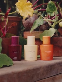 Vegetal Colognes