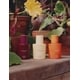 Vegetal Colognes Image 1