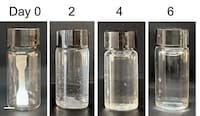 Living Degradable Plastics Image 1