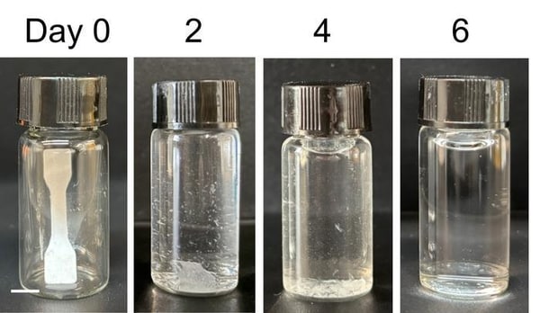 Living Degradable Plastics