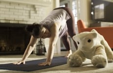 Emotional Companion Robotics