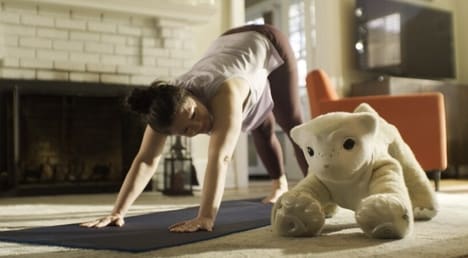 Emotional Companion Robotics