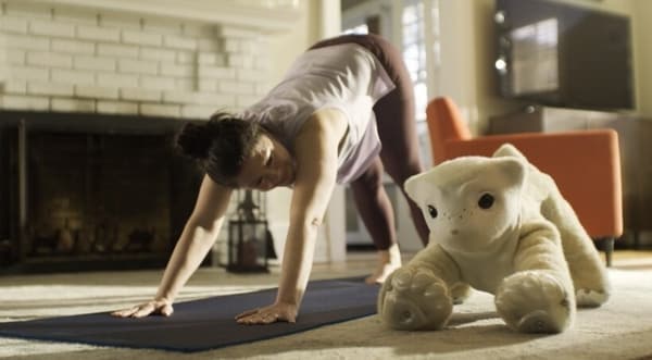 Emotional Companion Robotics