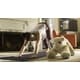 Emotional Companion Robotics Image 1