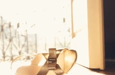 Timeless Luxe Accessory Lines