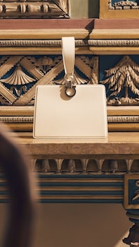 Timeless Luxe Accessory Lines Image 2