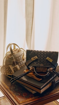 Timeless Luxe Accessory Lines Image 6
