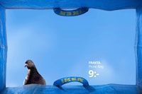 Inside Bag Campaigns