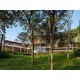 Elevated Forest Houses Image 1