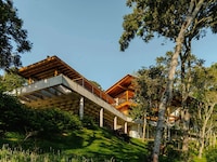 Elevated Forest Houses Image 3