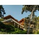 Elevated Forest Houses Image 3